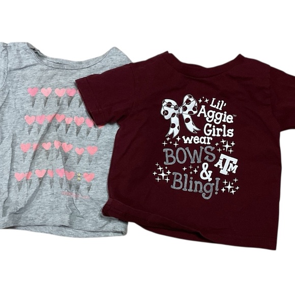 10 PIECE SHORT SLEEVE PULLOVER TOPS SIZE 2T GENTLY WORN - Picture 4 of 6